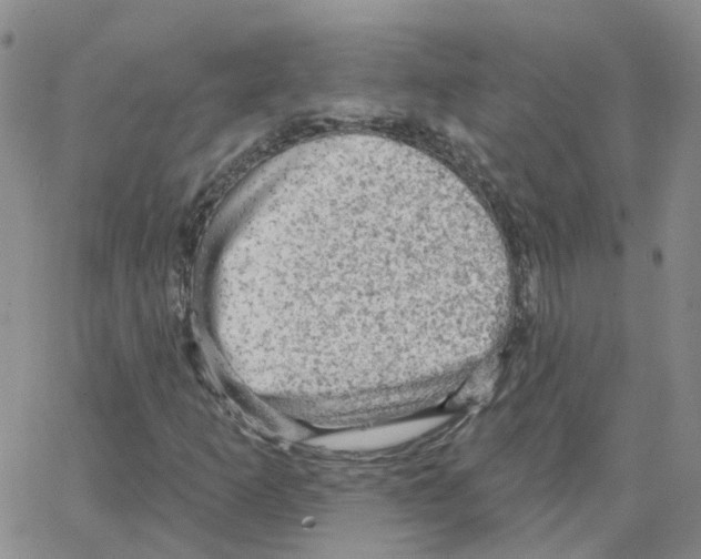 X0000064741253200603131309