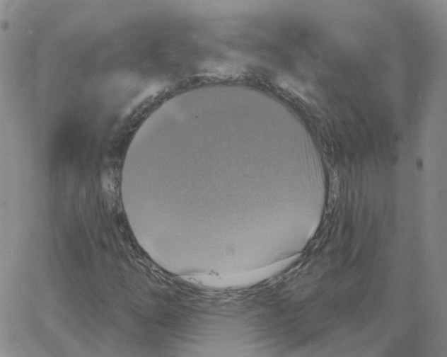 X0000064741254200603131309