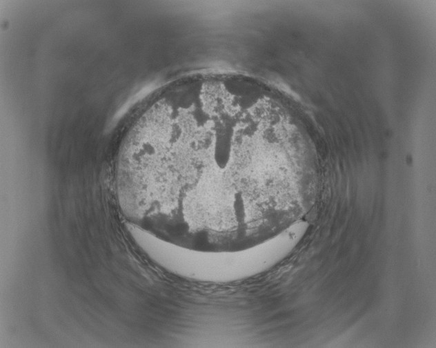 X0000064741255200603131309