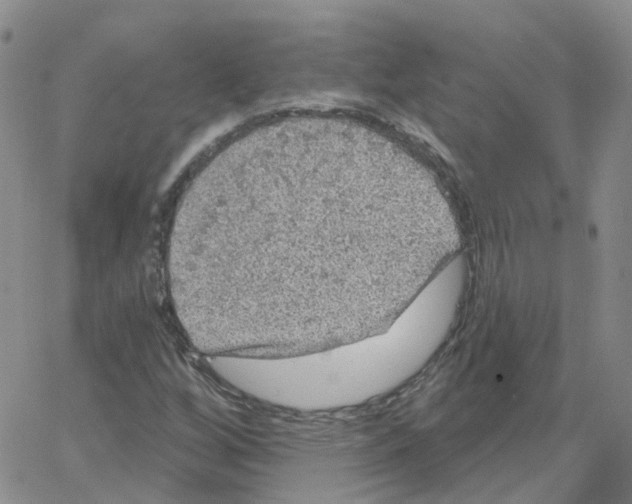 X0000064741256200603131309