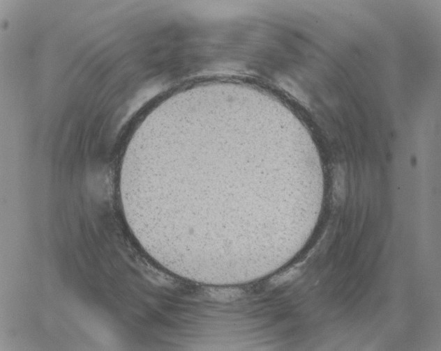 X0000064741258200603131309