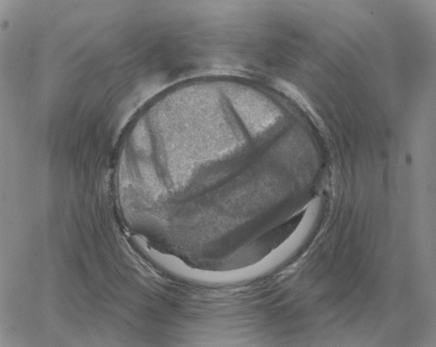 X0000064741260200603131309