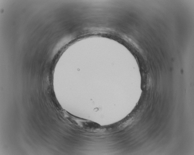 X0000064741261200603131309