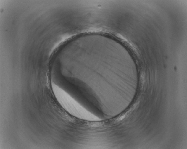 X0000064741262200603131309