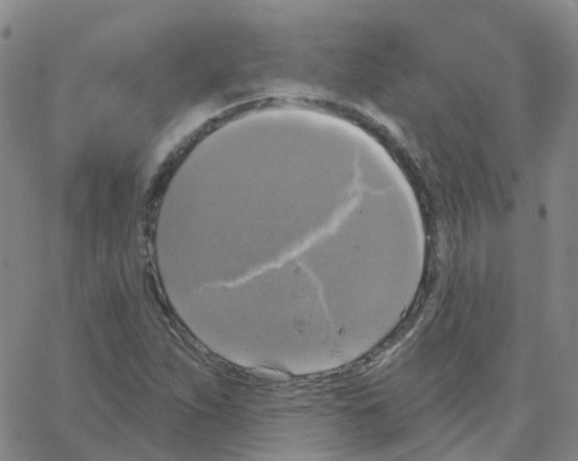 X0000064741263200603131309