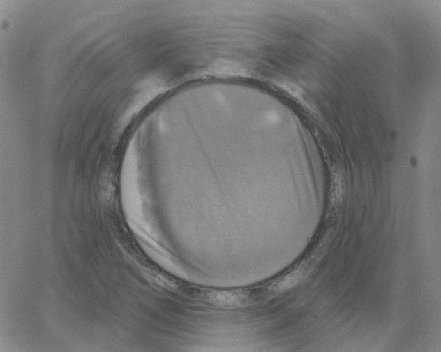 X0000064741266200603131309