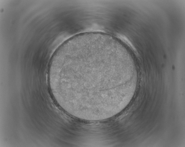 X0000064741268200603131309