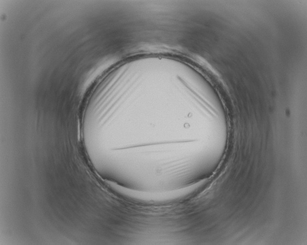 X0000064741269200603131309