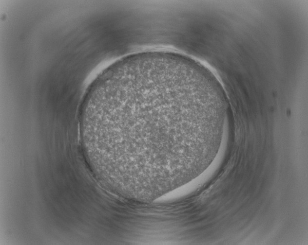 X0000064741271200603131309