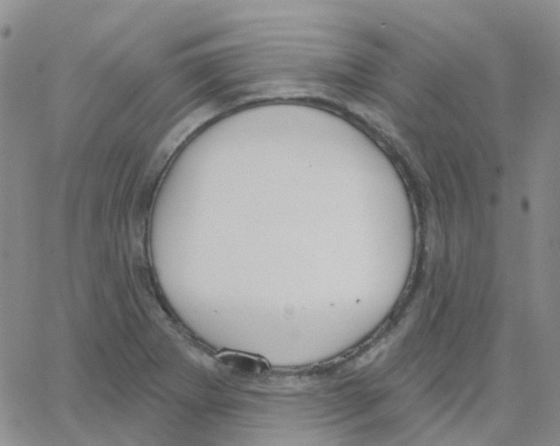 X0000064741273200603131309