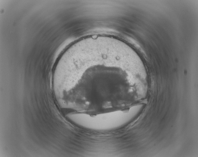 X0000064741275200603131309