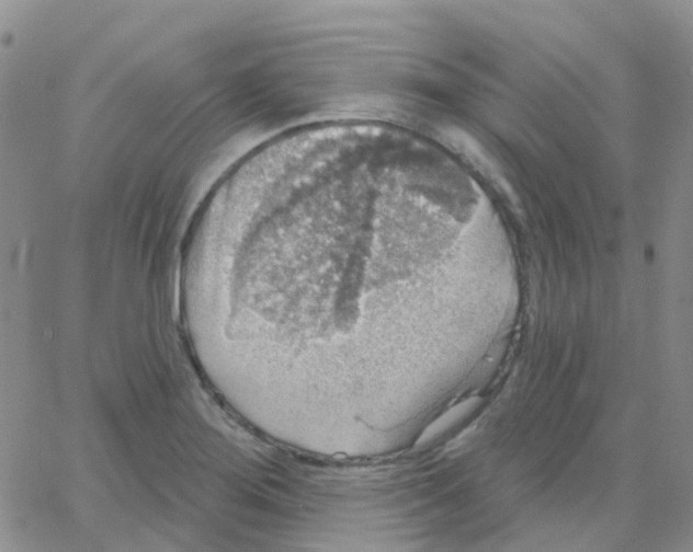 X0000064741276200603131309