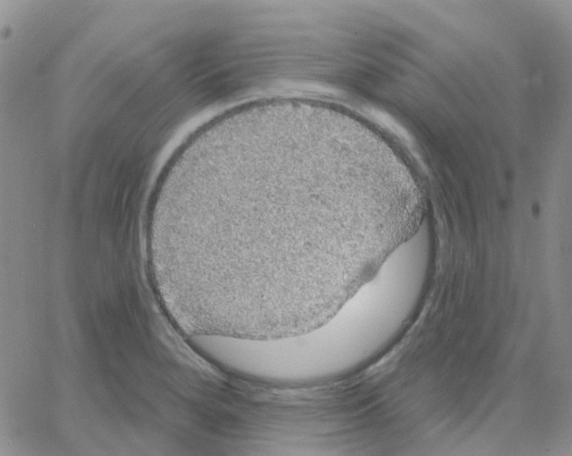 X0000064741280200603131309