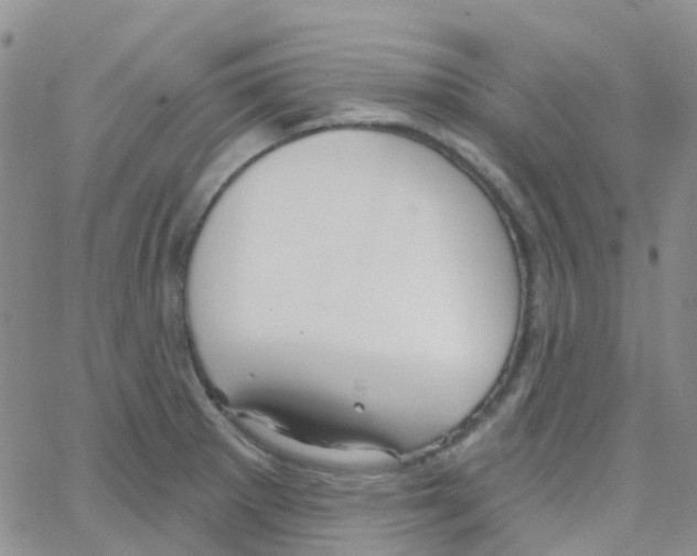 X0000064741281200603131309