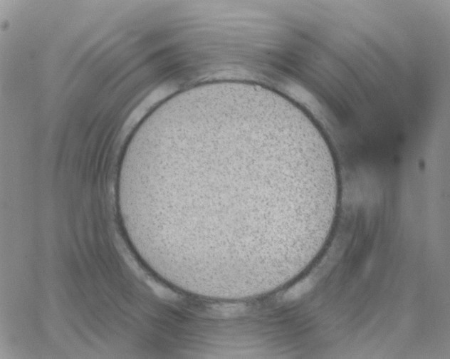 X0000064741282200603131309