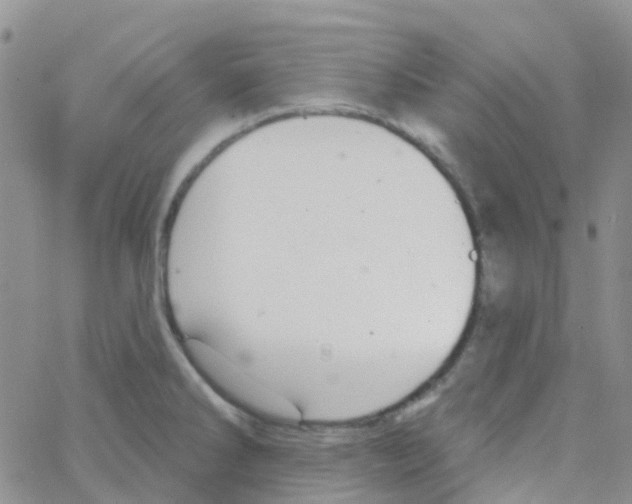 X0000064741286200603131309