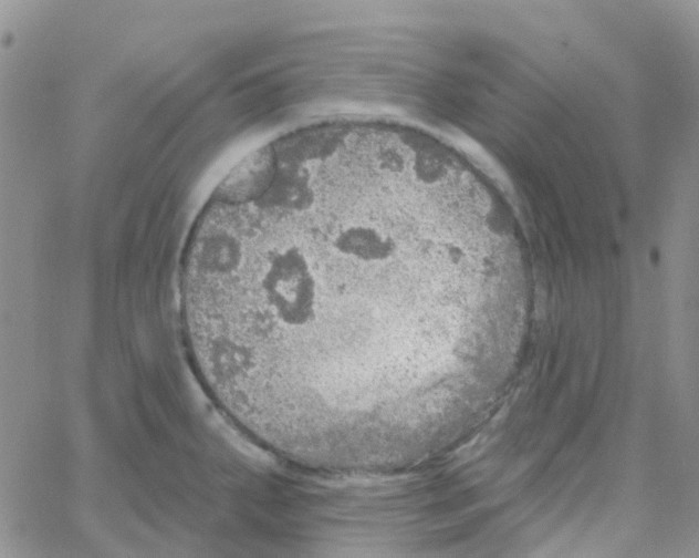 X0000064741287200603131309