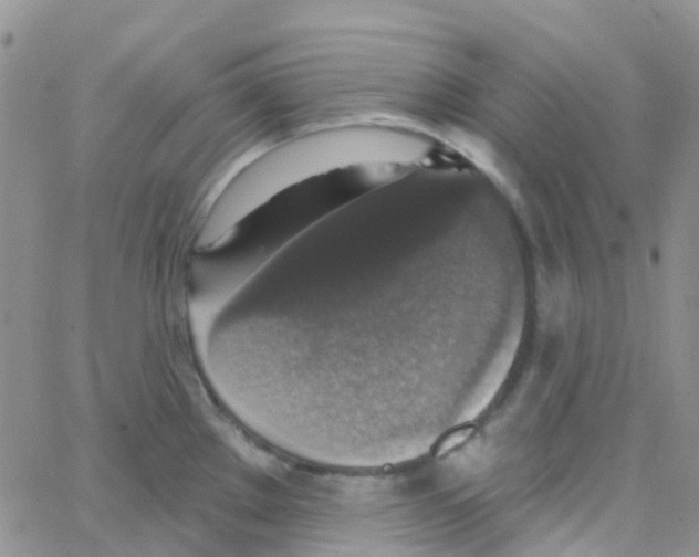 X0000064741289200603131309