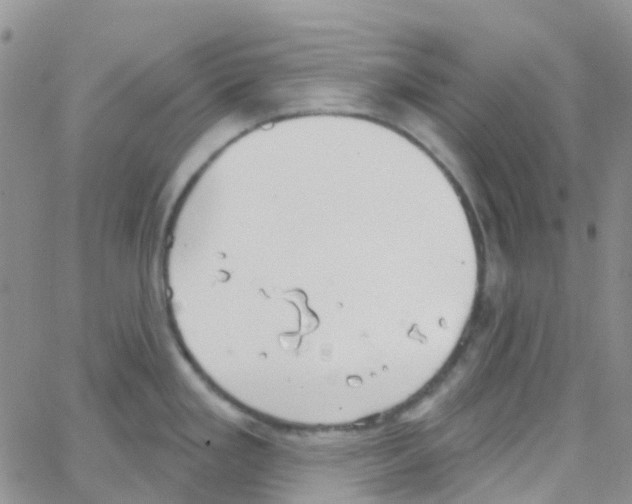 X0000064741293200603131309