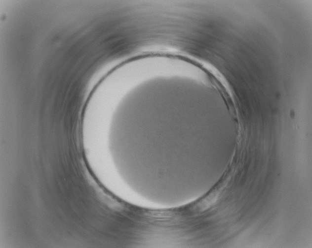 X0000064741295200603131309