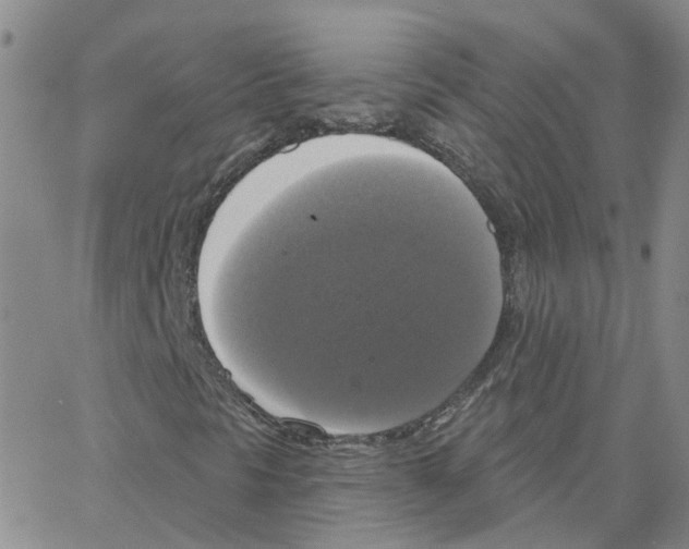 X0000064741297200603131308