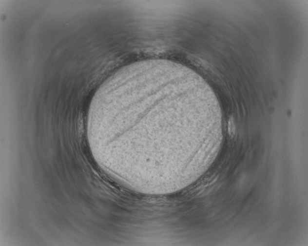 X0000064741299200603131308