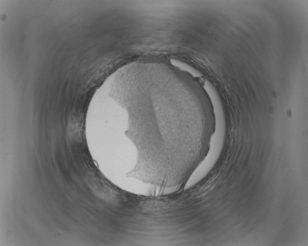 X0000064741300200603131308