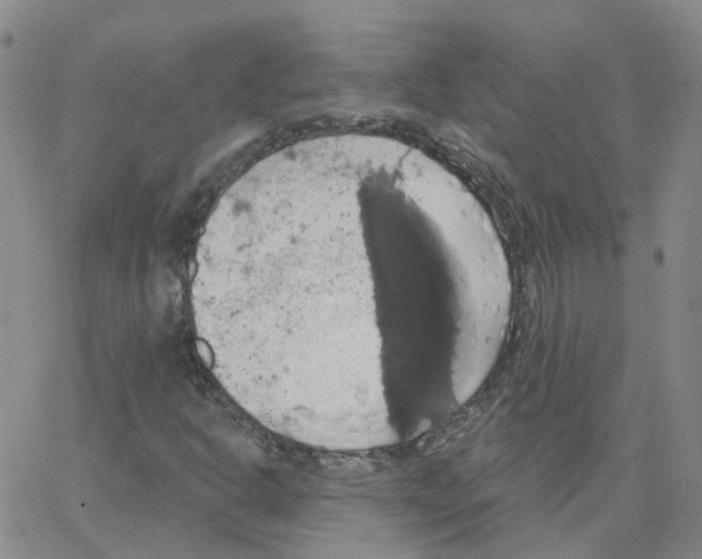 X0000064741302200603131308