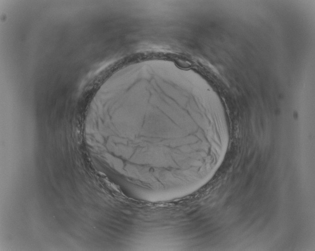 X0000064741303200603131308