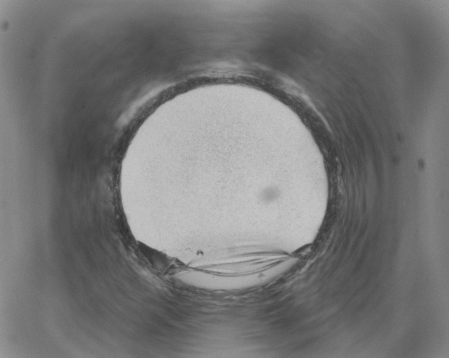 X0000064741304200603131308