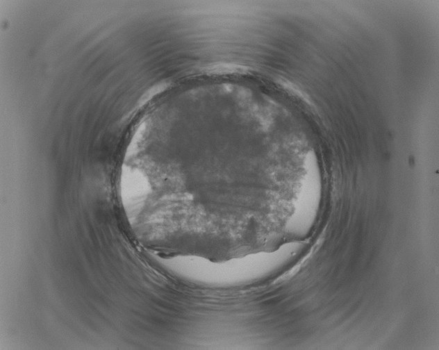 X0000064741305200603131308