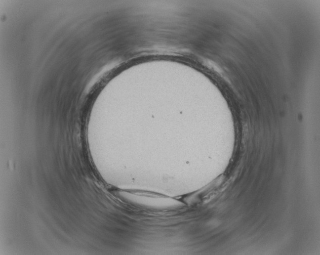 X0000064741307200603131308