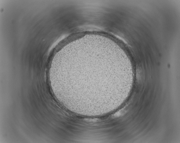 X0000064741309200603131308