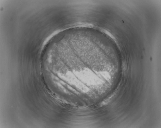 X0000064741310200603131308