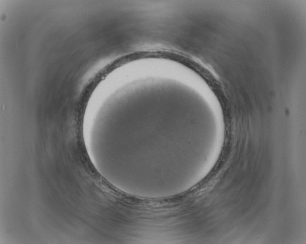 X0000064741311200603131308