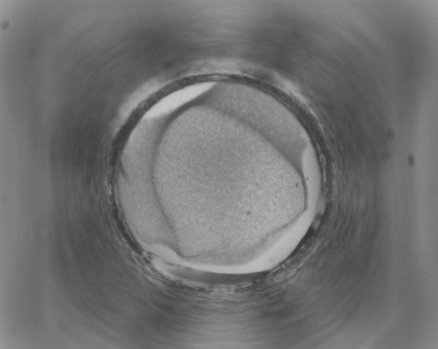 X0000064741312200603131308