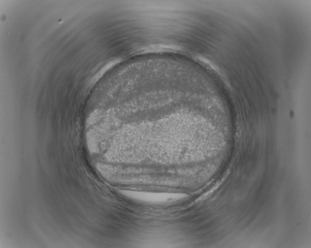 X0000064741313200603131308