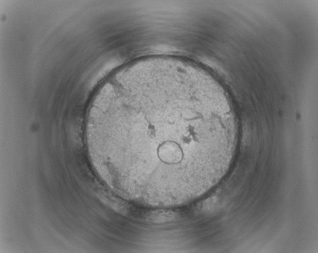 X0000064741314200603131308