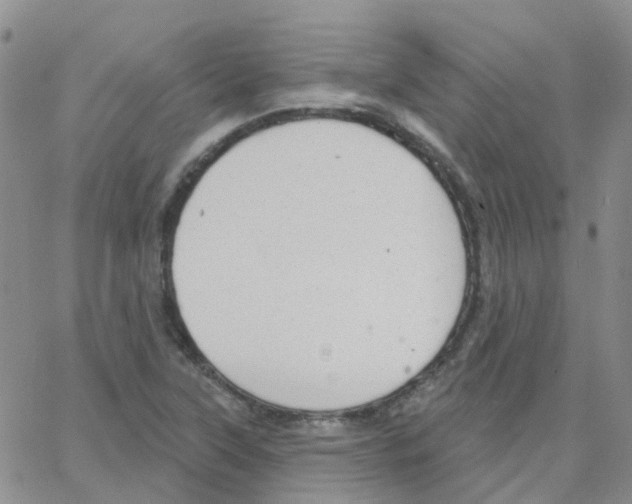 X0000064741315200603131308