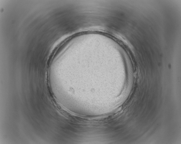 X0000064741316200603131308