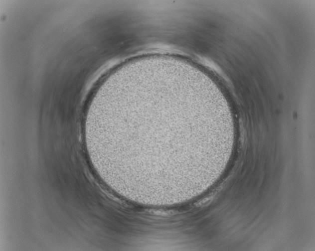 X0000064741318200603131308