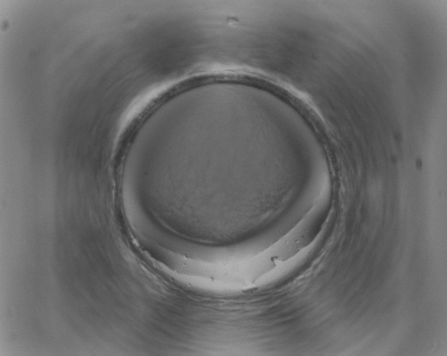 X0000064741319200603131308