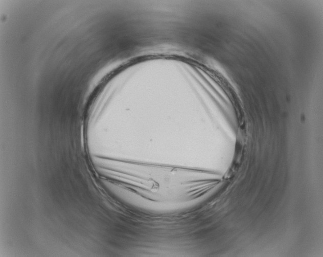 X0000064741320200603131308