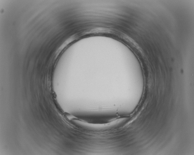 X0000064741321200603131308