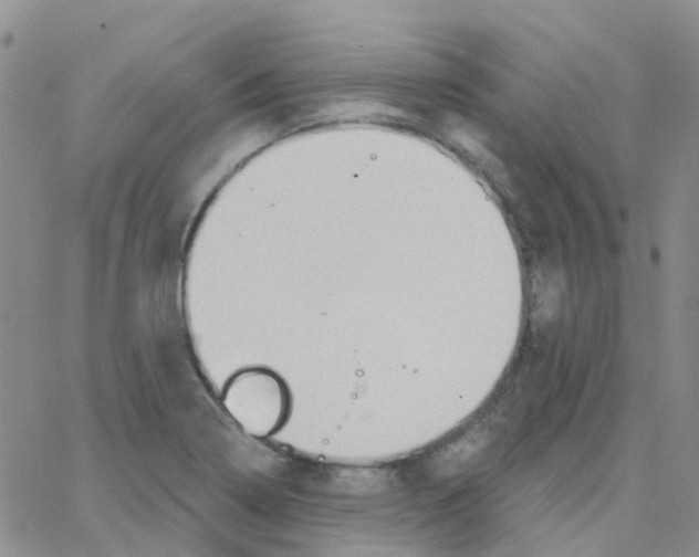 X0000064741322200603131308