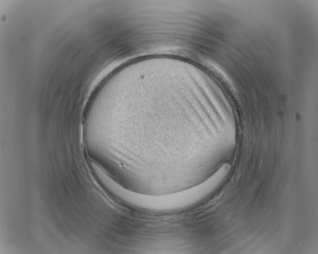 X0000064741324200603131308