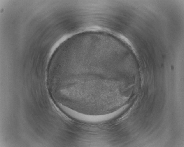 X0000064741326200603131308