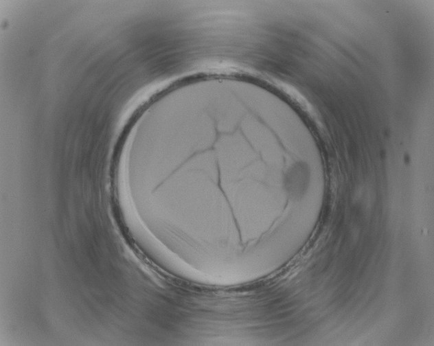 X0000064741327200603131308