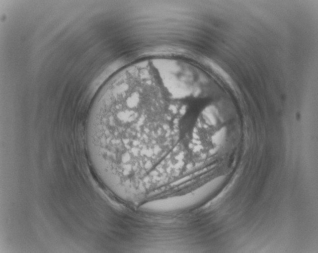 X0000064741329200603131308