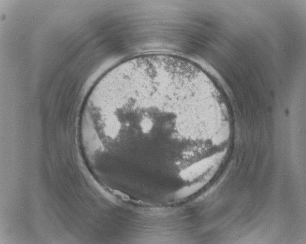 X0000064741333200603131309